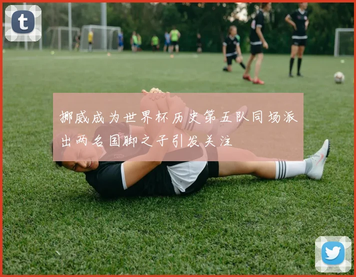 挪威成为世界杯历史第五队同场派出两名国脚之子引发关注